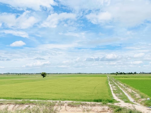 ដីកែងលក់បន្ទាន់