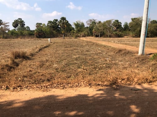 ដីលក់បន្ទាន់