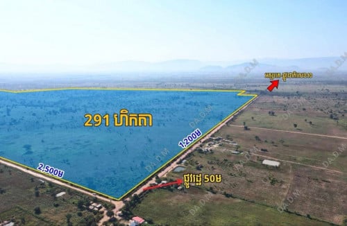 ដីកសិកម្ម ២៩១ហិកតា