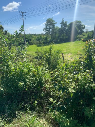 Land for Rent