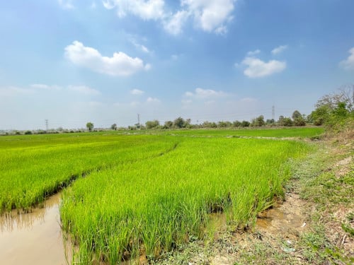 ដីលក់ ជិតផ្លូវក្រវ៉ាត់ក្រុង៣ និង ព្រលានថ្មី តម្លៃល្អ ទីតាំងល្អ