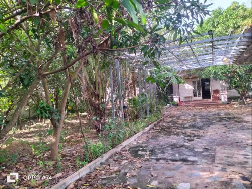 A lovey house for lease