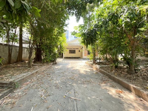 ដីលក់ តម្លៃល្អ ក្រោមទីផ្សារ ជិតផ្លូវនរោត្តម