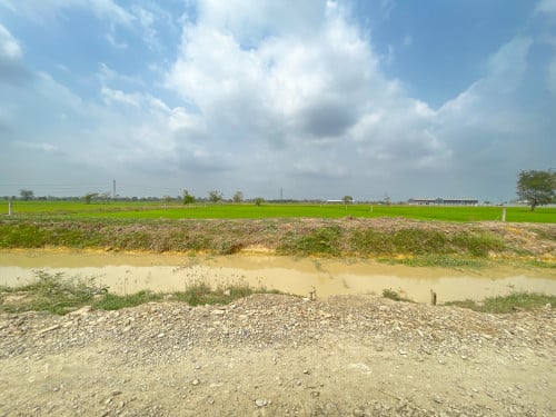 ដីលក់ ប្រឡាយ59 (ទំហំផ្លូវ 40ម៉ែត្រ) ជិតព្រលានយន្តហោះអន្តរជាតិតេជោ