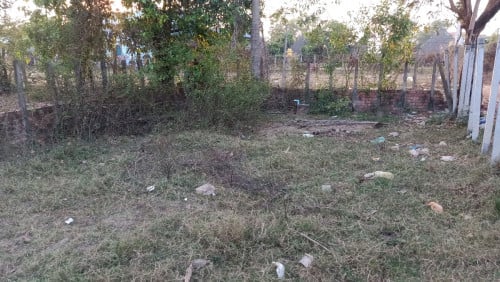 ដីប្លង់រឹង