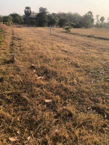 ដីសម្រាប់លក់