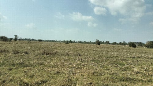 ដីស្រែក្បែរផ្លូវជាតិលេខ៦