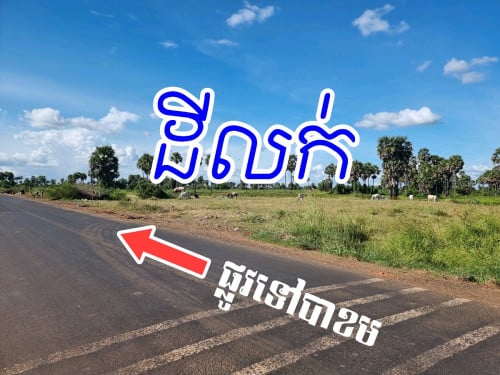 ដីលក់ $150,000 (ចចារបានតិចតួច)
