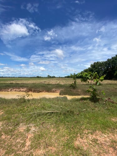 Land for sale, Bakong, Next to Museum Of CMAC, Siem Reap (ដីលក់ ស្រុកបាគង ខេត្តសៀមរាប) ( 土地出售)