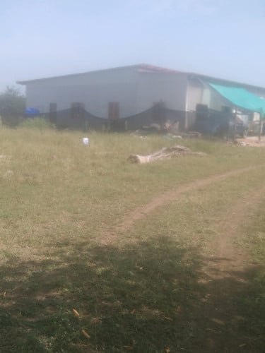 ដីលក់បន្ទាន់  នៅជិតព្រំដែនថៃនៅឡេម។