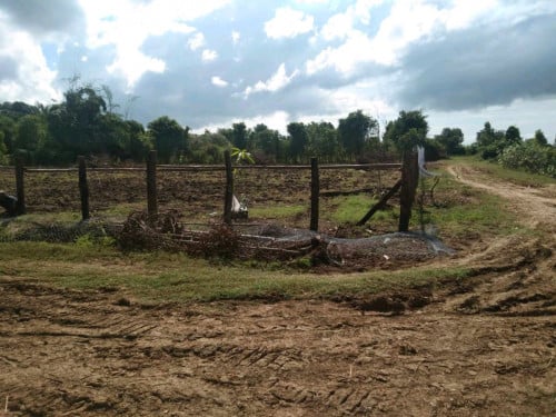 ដីលក់បន្ទាន់