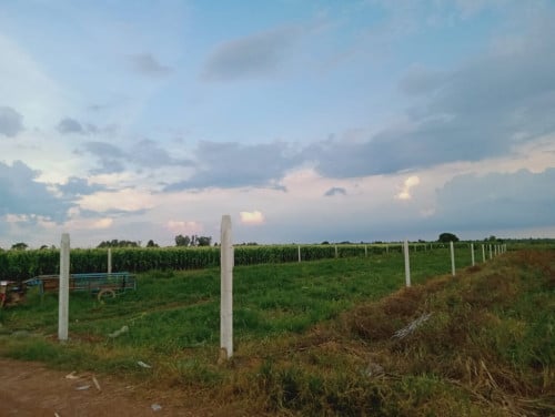 ស្វាយប្រទាល ឃុំស្វាយប្រទាល ស្រុកស្អាងតាមព្រែកតាសៅ