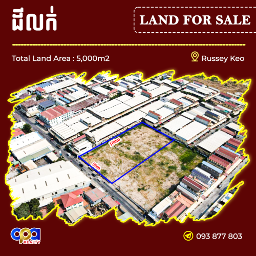 ដីលក់ជិតស្ពានឫស្សីកែវ