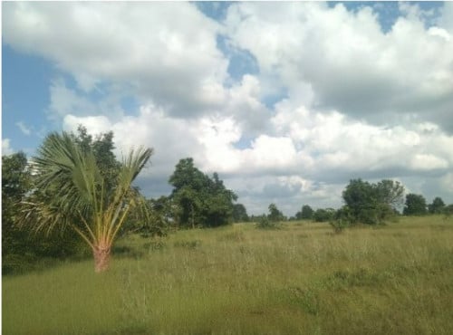 🏦Land for Urgent Sale (Negotiable), ABA Loan Available.