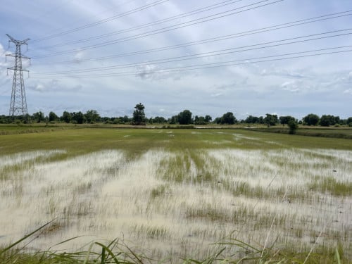 ๐ Land Available for Urgent Sale at a Special Price (Negotiable).