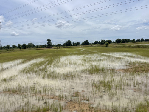 ๐ Land Available for Urgent Sale at a Special Price (Negotiable).