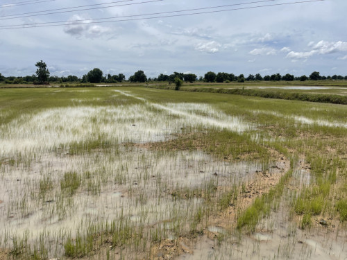 ๐ Land Available for Urgent Sale at a Special Price (Negotiable).