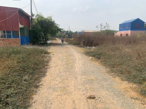 ម្ចាស់ដើម