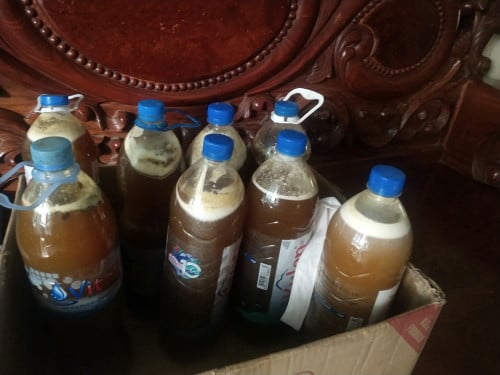 ទឹកឃ្មុំធម្មជាតិសុទ្ធ100%