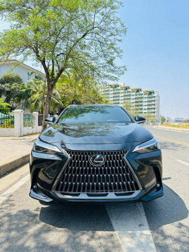 2022 NX350h ផ្លាកលេខ 2CE-888x