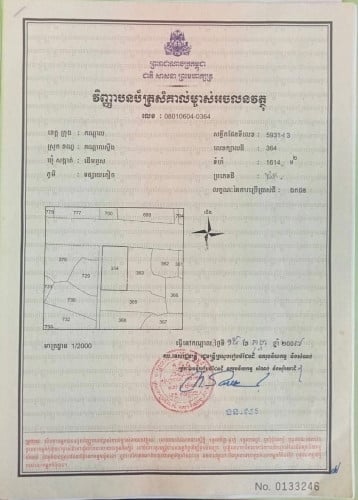 054: ដីកណ្តាលស្ទឹង 30x50 សំរាប់អាជីវកម្ម