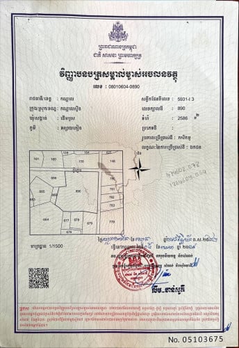 055: ដីកណ្តាលស្ទឹង 2586m2 ដើមឫស្ស