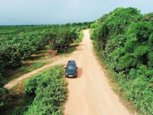 ដីចំការលក់ធូរថ្លៃ