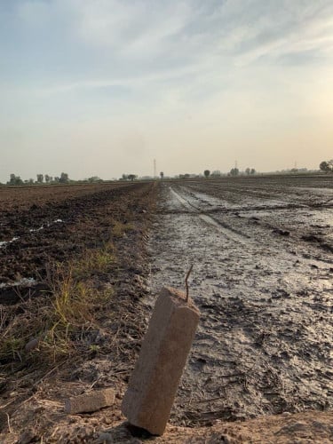 -ដីលក់បន្ទាន់