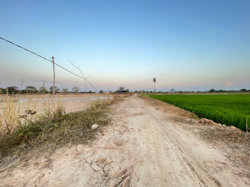 ដីលក់ តម្លៃល្អ ជិតរង្វង់មូលកួរស្រូវ និង ផ្លូវក្រវ៉ាត់ក្រុង៣