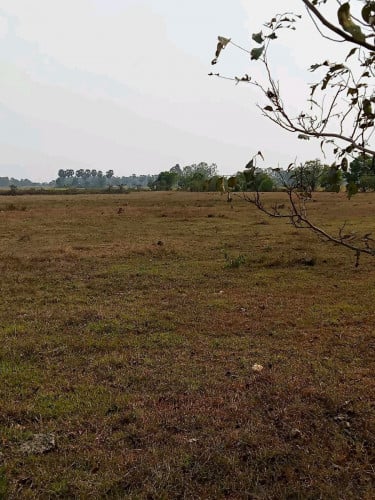 ដីលក់ (ចរចាបាន)