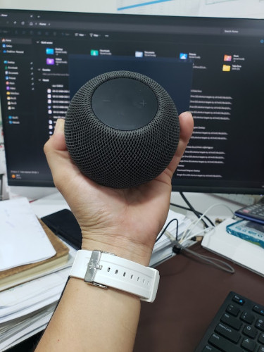 Homepod Mini black in good condition for sell