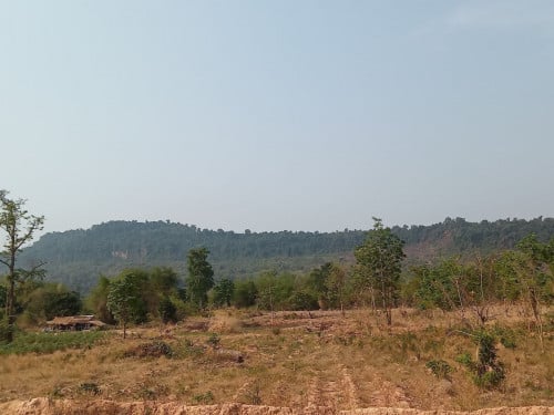 ដីលំហែរជាប់ជេីងភ្នំគូលេនលក់តម្លៃធូថ្លៃនៅឃុនរាមស្រុកបន្ទាយស្រី