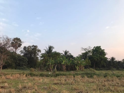 ដីលក់នៅចំការសំរោង ១/ Land For Sale at Samraong 1: $30,000 (20x40m)