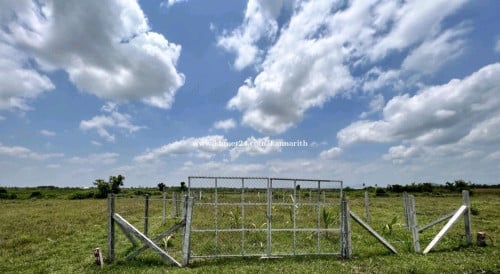 ដីលក់ តំបន់អភិវឌ្ឍន៌ស្ពឺ