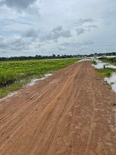 ដីក្រុងសួង ជាប់ផ្លូវដី