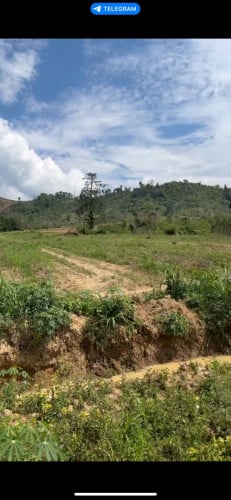 065: ដីវាលវែង 3.7 ha អាចធ្វើ Resort