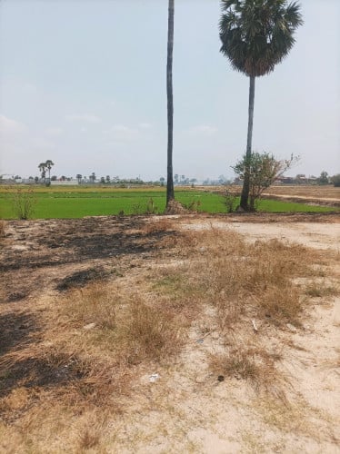 ដីតំបន់រោងចក្រនិងបុរី