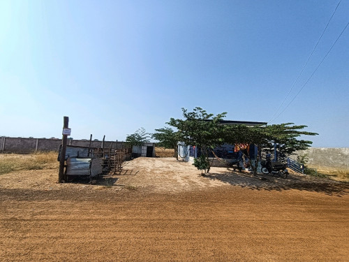 ដីលក់