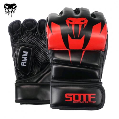 ហ្គង់ MMA