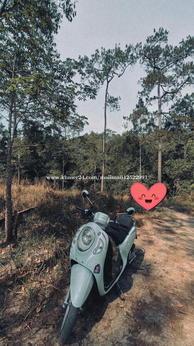 Scoopy i 2022 Honda Price $1690.00 in Preaek Pnov, Cambodia - maii maii ...