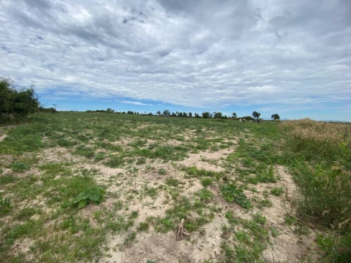 Land for sale 150*100m