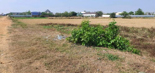 ដីលក់ប្រញាប់ក្រោយផ្សាភូពុយ