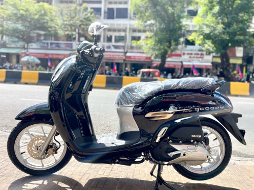 Honda Scoopy 2024 ថ្មី Price $2550.00 In Veal Vong, Cambodia - Heng ...