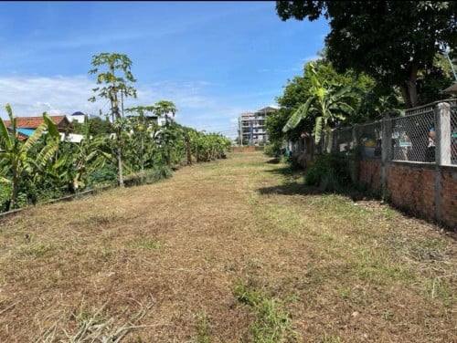 ដីមានប្លង់រឹង