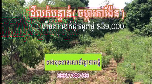 ដីចម្ការតាង៉ែន