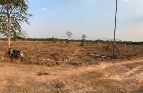 ដីលក់ ប្លង់រឹង