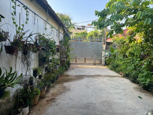 ដីលក់​ទំហំ​(10mx39.5m)​ដីប្លង់រឹង