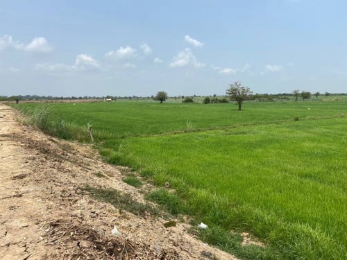 ដីលក់បន្ទាន់