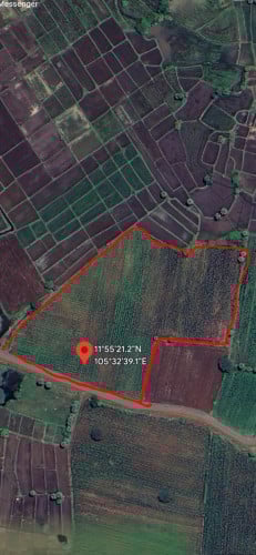 ដីចំការផ្ទាល់ខ្លួនចង់លក់តម្លៃធន់ៗ