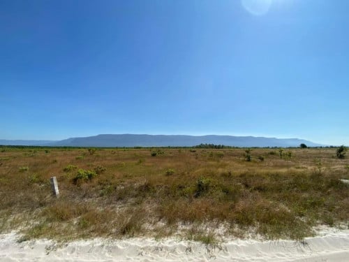 ដីលក់នៅតានៃ